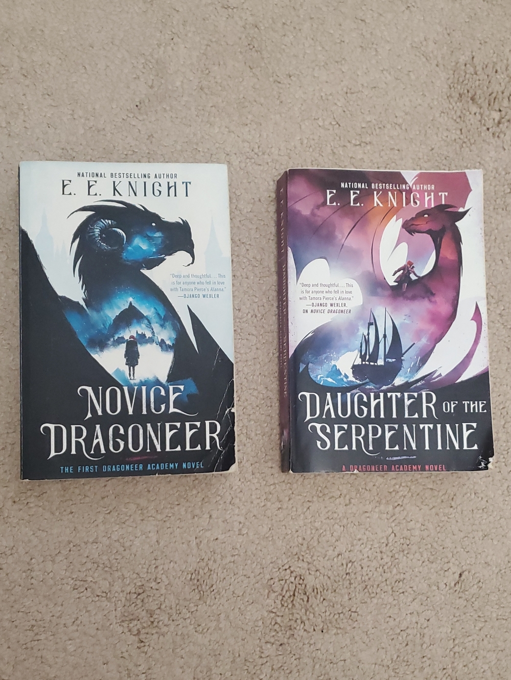 Dragoneer Academy Novels
